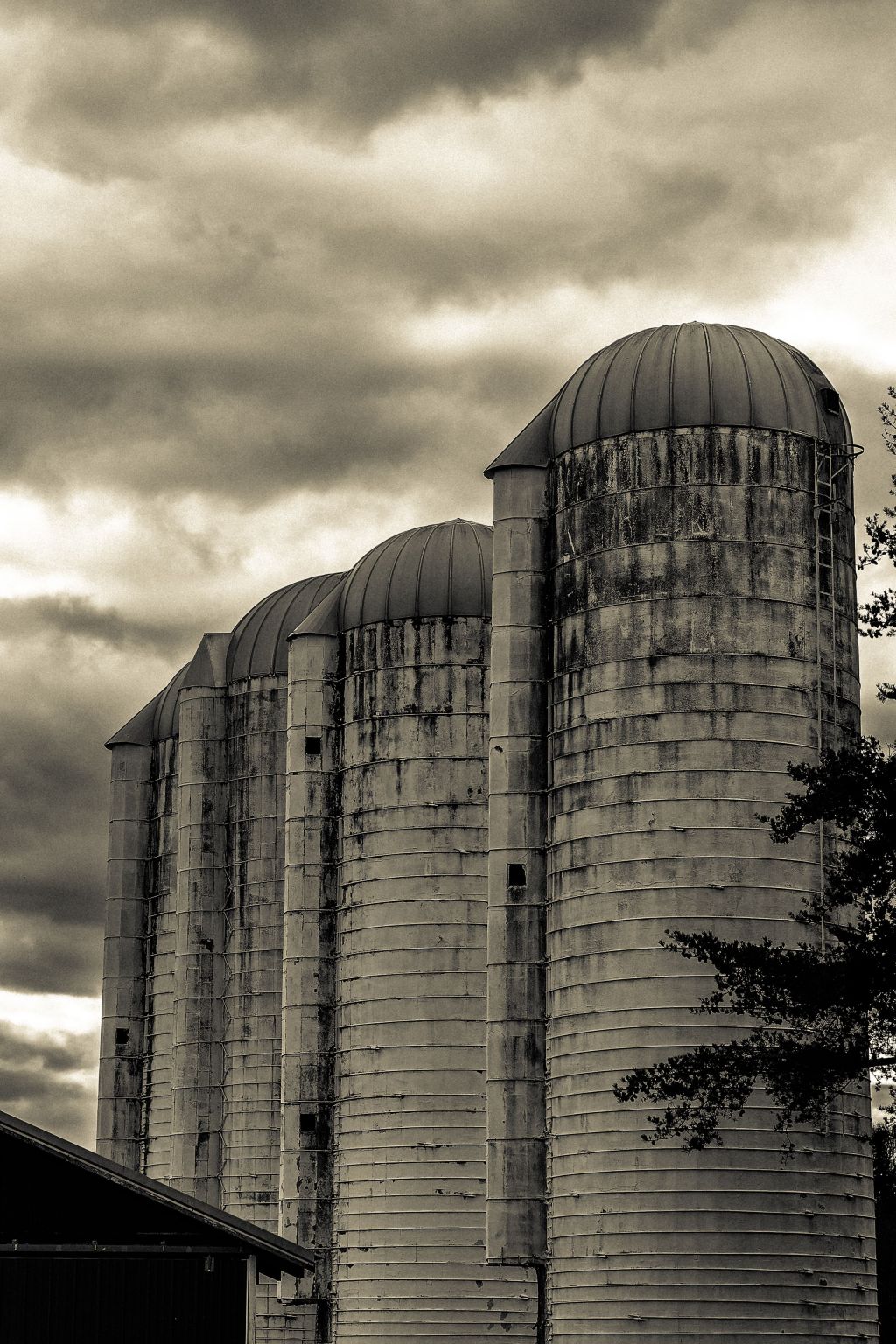 Association Marketing Often Is a Service Department. It Shouldn’t&nbsp;Be.