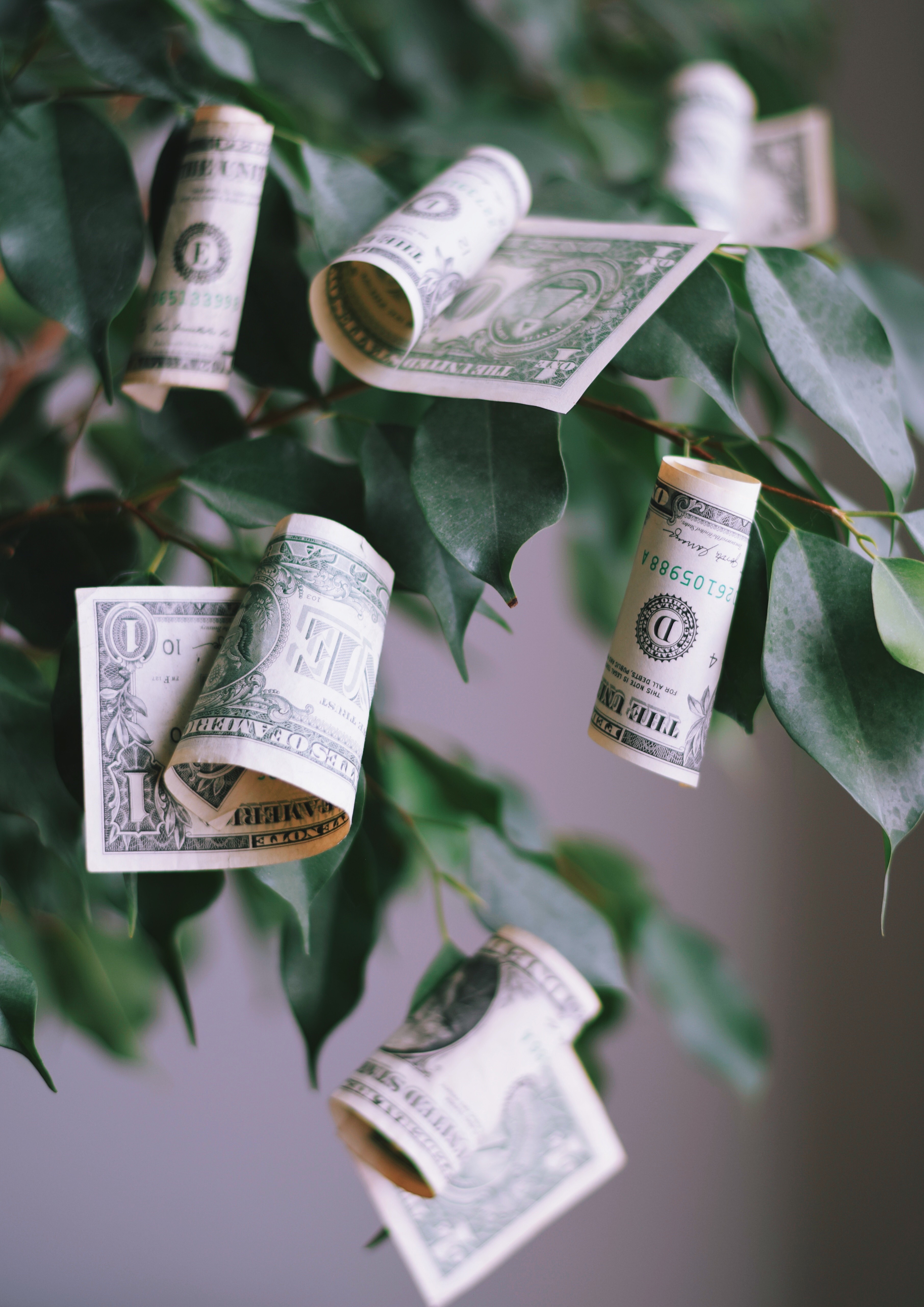 Owned Media Is the Non-Dues Revenue Play Most Associations Are Ignoring